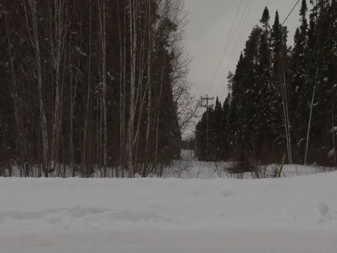 A snowmobile going fast in the background Video stock 79690984