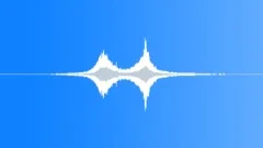 SNOWMOBILE, GROUPSound Effect