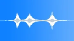 SNOWMOBILE, GROUPSound Effect