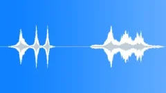 SNOWMOBILE, GROUP Sound Effect