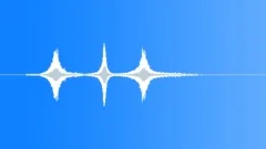 SNOWMOBILE, GROUP Sound Effect