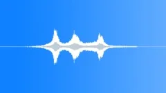 SNOWMOBILE, GROUP Sound Effect