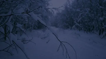 Snowmobile ride through the forest Stock Footage 85557281