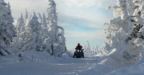 Snowmobile rides through the pine forest in slow motion. Sheregesh, Russia. Stock Footage 144172034