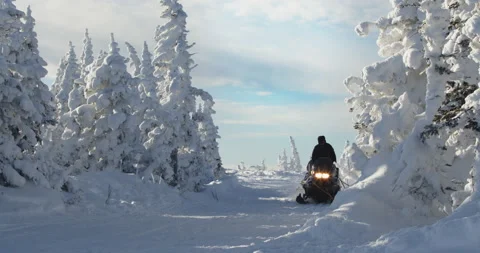 Snowmobile rides through the pine forest in slow motion. Sheregesh, Russia. Stock Footage 144172236