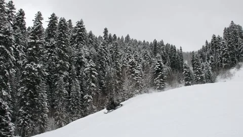 Snowmobile riding with fun in deep snow powder during back country tour. Ex.. Vídeos de archivo 299610883