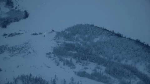 A snowmobile is riding through the forest and going to a frozen sea. Stock Footage 87375687