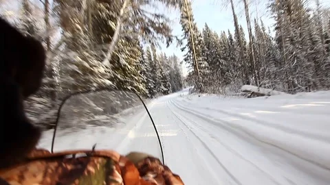 Snowmobile is off-road in the taiga Stock Footage 87239678