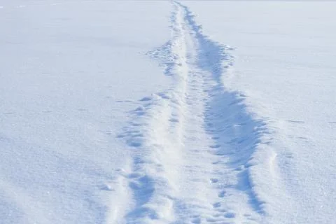 Snowmobile track marks on the snow Foto stock