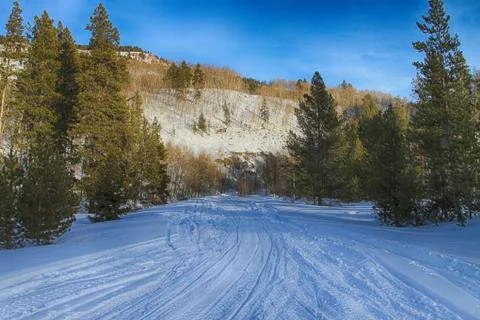 Snowmobile Tracks Stock Photos