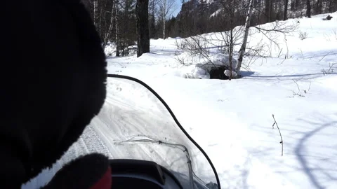 Snowmobile Travelling Through Forest Video stock 87652166