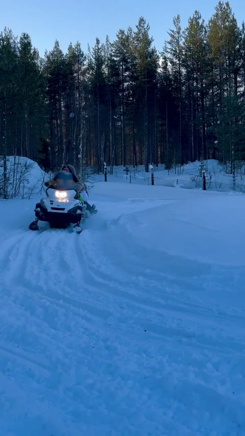 Snowmobiling enthusiasts navigating through a snowy forest landscape Stock Footage 317953621