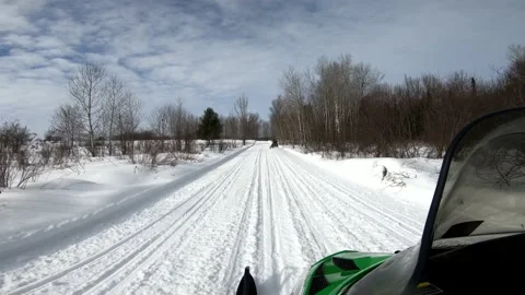Snowmobiling Onboard View through Some Trees Video stock 130216102