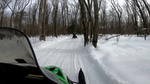 Snowmobiling Onboard View Through Tall Trees Vídeo Stock 130217434