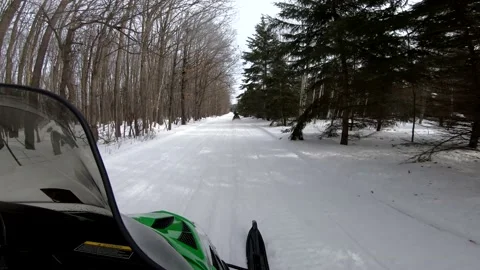 Snowmobiling Onboard View Through Trees Video stock 130218335