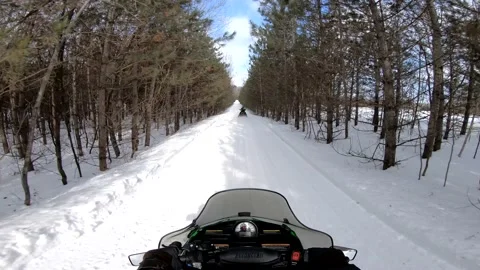 Snowmobiling POV Through Woods Vídeos de archivo 130219522