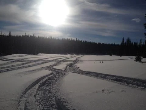 Snowmobiling snowy meadow Stock Photos