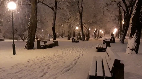 Snows in the park in the evening during winter - 1 Stock-Footage 101371195