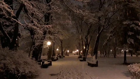 Snows in the park in the evening during winter - 2 Stock Footage 101371227