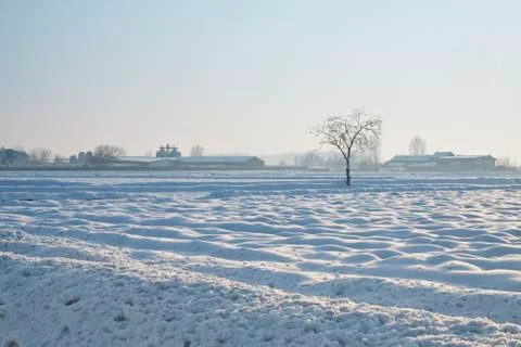 Snowscape Stock Photos