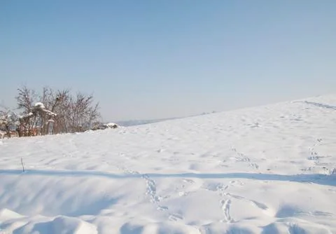 Snowscape Stock Photos