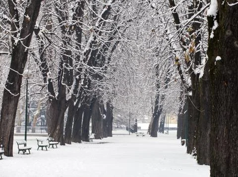 Snowscape Stock Photos