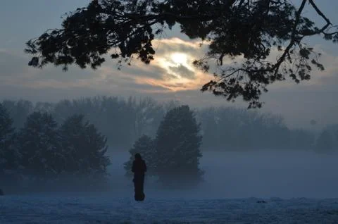 Snowscape Stock Photos