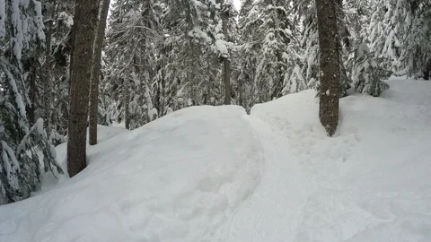 Snowshoe Running Point Of View Through A Beautiful Forest In The Mountains Stock Footage 86695125