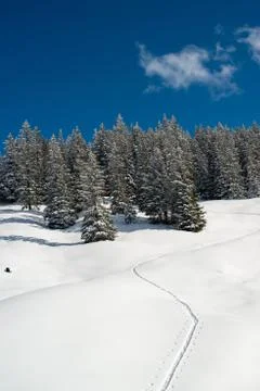 Snowshoe traces Stock Photos
