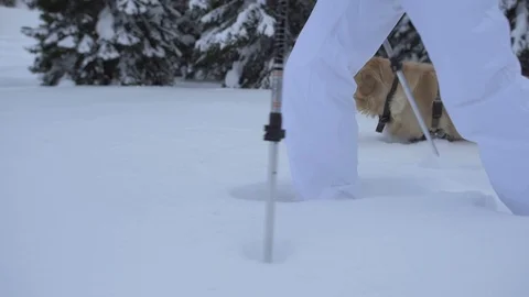 Snowshoe walk Stock Footage 120776587