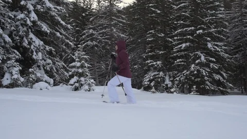 Snowshoe walk Stock Footage 120776698