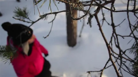 Snowshoeing 1080p HD Vídeo Stock 44454543