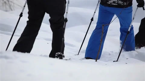 Snowshoeing 1080p HD Vídeo Stock 44456487