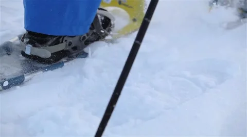 Snowshoeing 1080p HD 库存影片 44456859