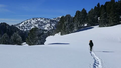 Snowshoeing Stock Footage 134128580