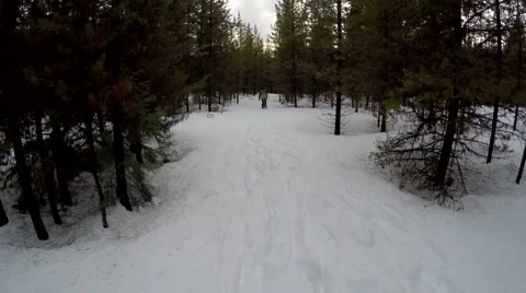 Snowshoeing in Forest 1 Stock Footage 47031359