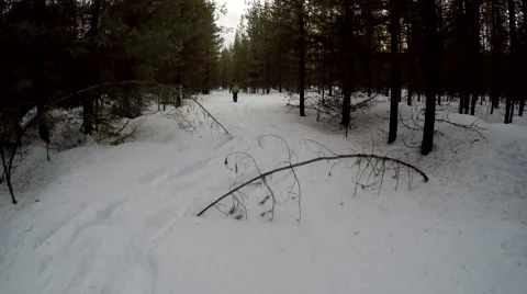 Snowshoeing in Forest 2 Stock Footage 47030138
