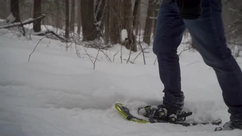 Snowshoeing in the forest Stock Footage 150107968