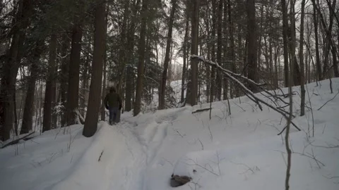 Snowshoeing in the forest Stock Footage 150108029