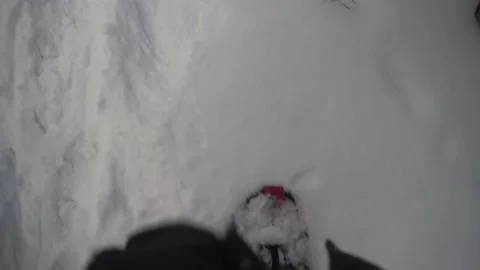 Snowshoeing in the forest Stock Footage 150108044