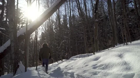 Snowshoeing in the forest Stock Footage 150108478