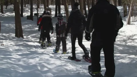 Snowshoeing in nature 库存影片 230692236
