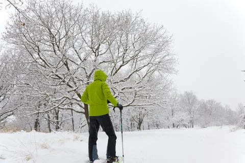 Snowshoeing Stock Photos
