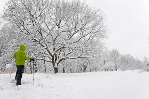 Snowshoeing Stock Photos