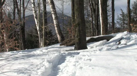 Snowshoer from behind Video stock 344136