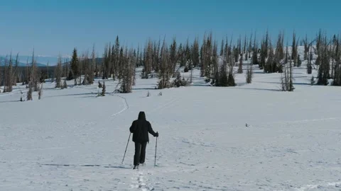 Snowshoer Walking Away from Camera in Wolf Creek Pass Stock Footage 153177109