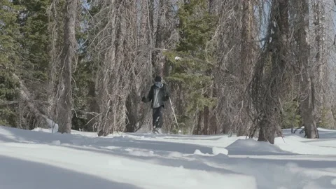 Snowshoer Walking Toward Camera in Forest, Slow Motion Stock Footage 153228481