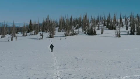 Snowshoer Walking Toward Camera at Wolf Creek Pass Stock Footage 153177098