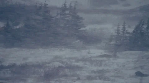 SnowStorm 05 Stock Footage 960686