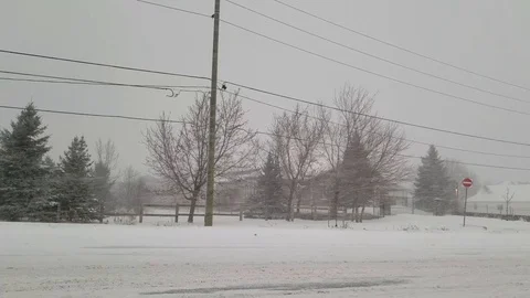 Snowstorm 25 Stock Footage 102017789